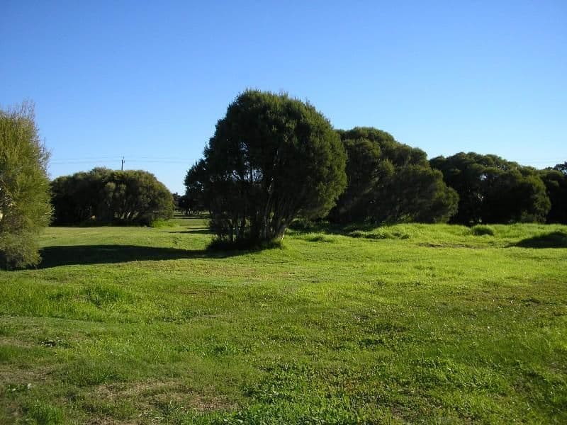 10 Windfire Grove, NAMBEELUP WA 6207, Nambeelup - Thumbnail 7