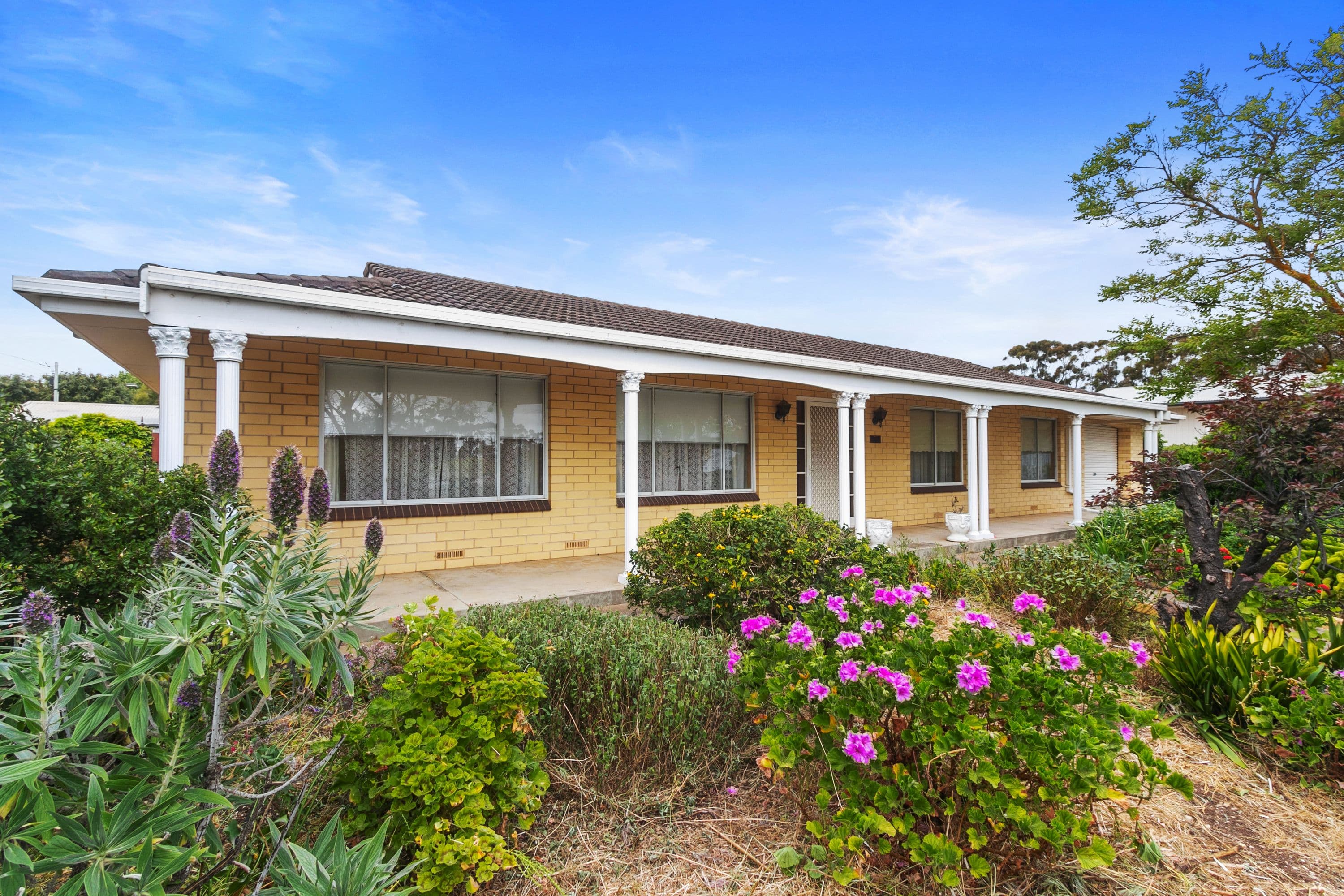 22 Alice Street, Maitland SA 5573, Maitland - Image 1
