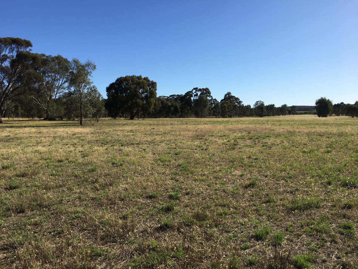 Ca 40 - 41 Sec 3 Calder Highway, Wedderburn VIC 3518, Wedderburn - Thumbnail 3