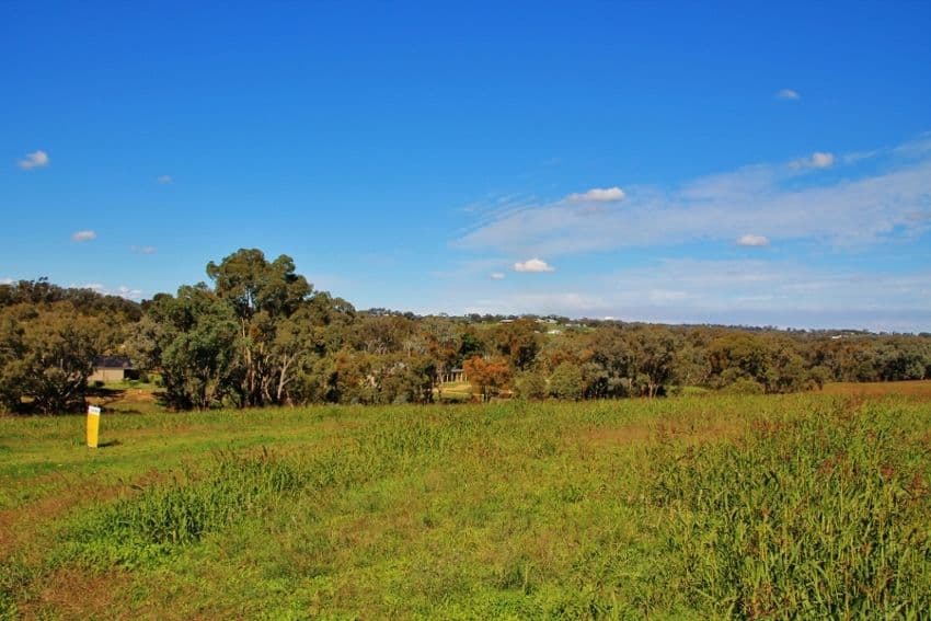 96 Hills Street, YOUNG NSW 2594, Young - Thumbnail 2