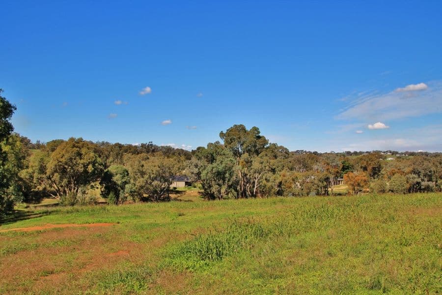 96 Hills Street, YOUNG NSW 2594, Young - Thumbnail 3