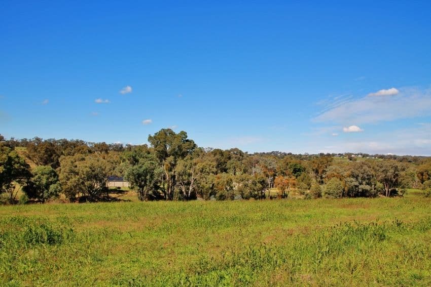 96 Hills Street, YOUNG NSW 2594, Young - Thumbnail 4