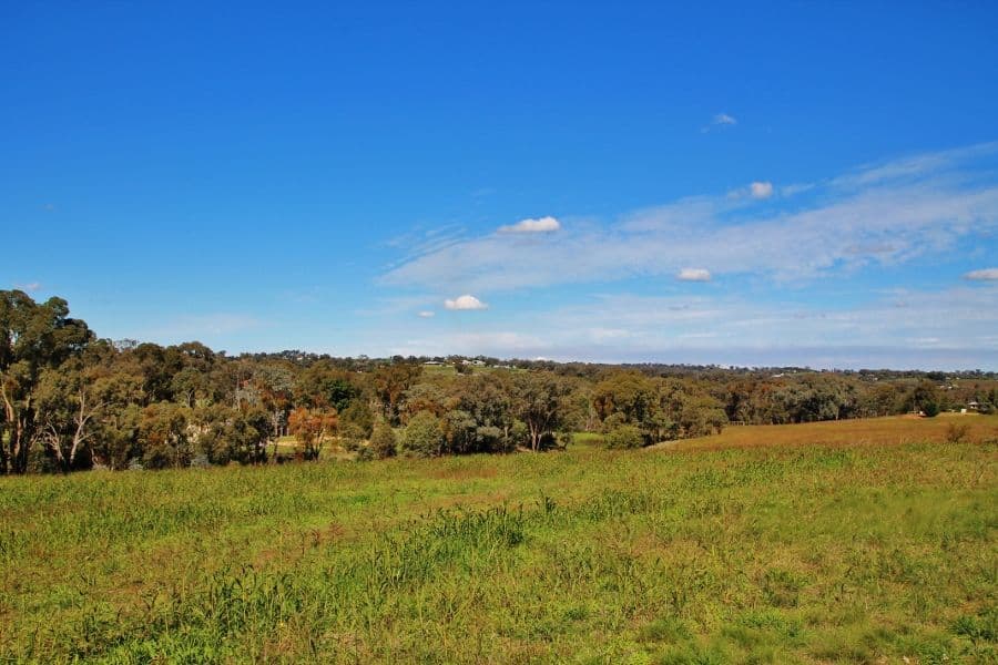 96 Hills Street, YOUNG NSW 2594, Young - Thumbnail 5