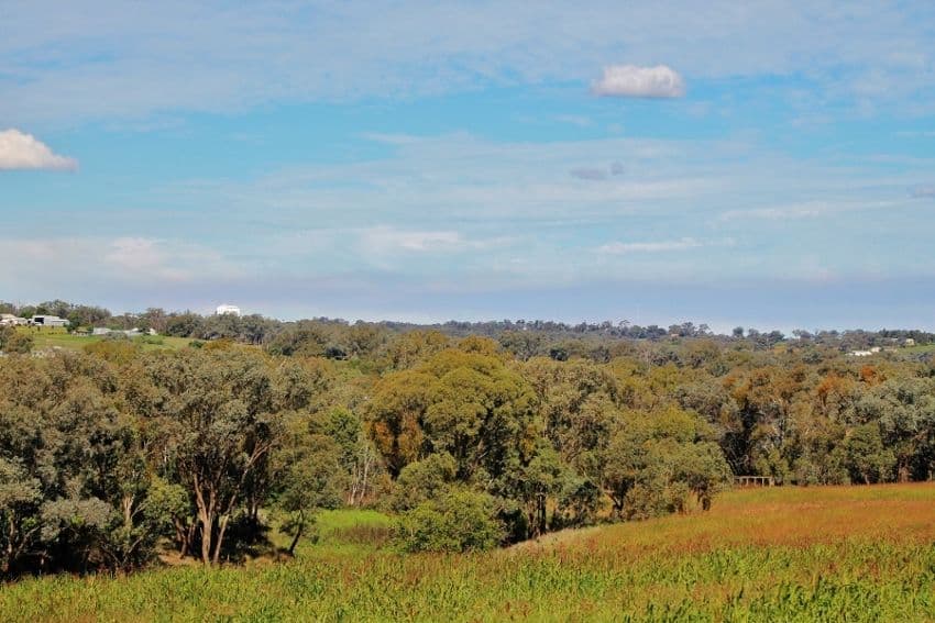 96 Hills Street, YOUNG NSW 2594, Young - Thumbnail 6