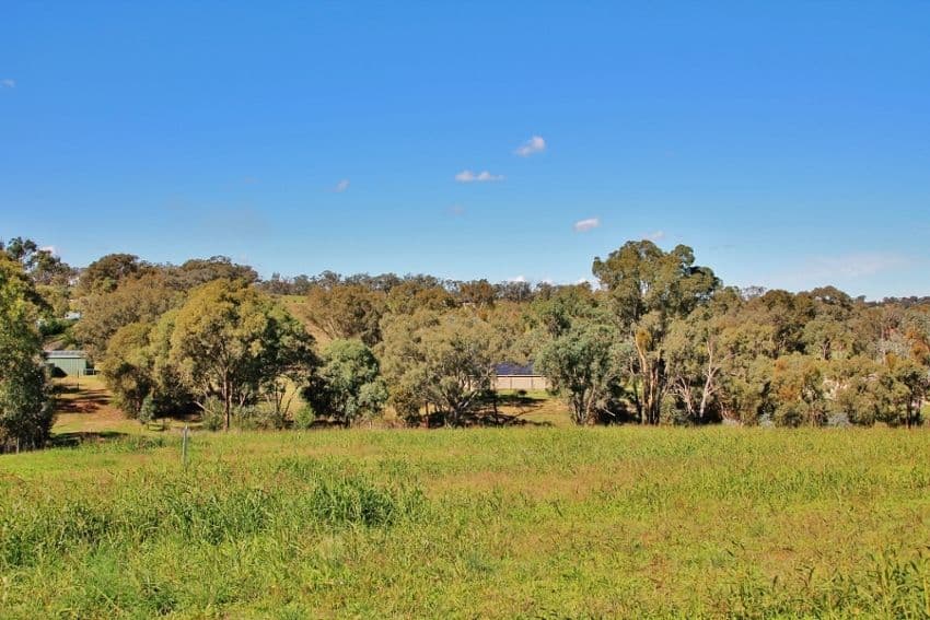 96 Hills Street, YOUNG NSW 2594, Young - Thumbnail 7
