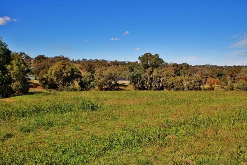 96 Hills Street, YOUNG NSW 2594, Young - Thumbnail 8
