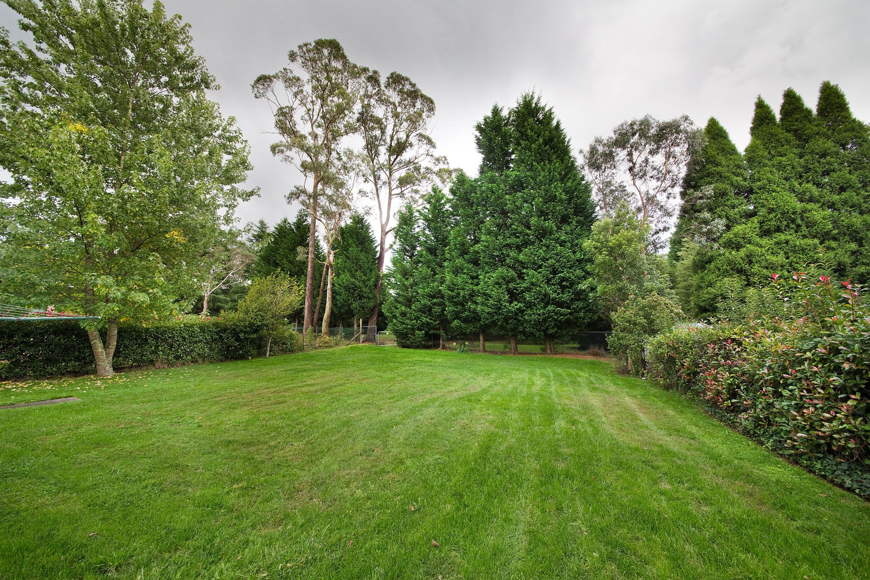 110 Evans Lookout Road, Blackheath - Thumbnail 7