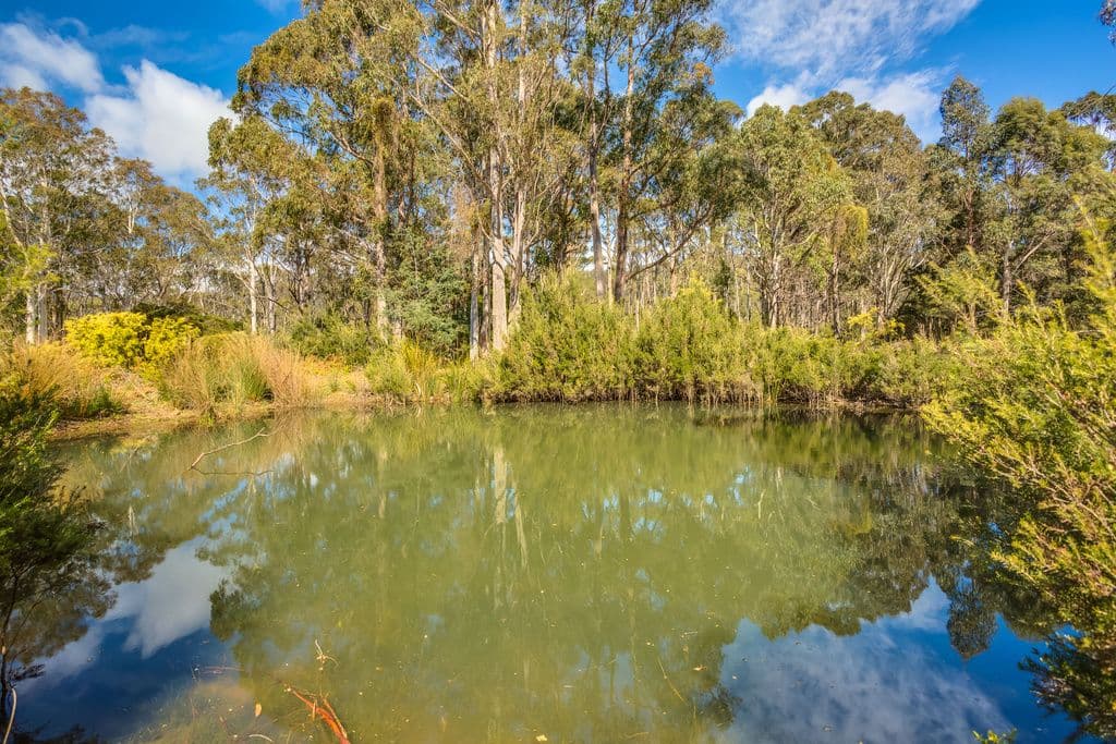 119 Priestleys Lane, BIRRALEE TAS 7303, Birralee - Thumbnail 2