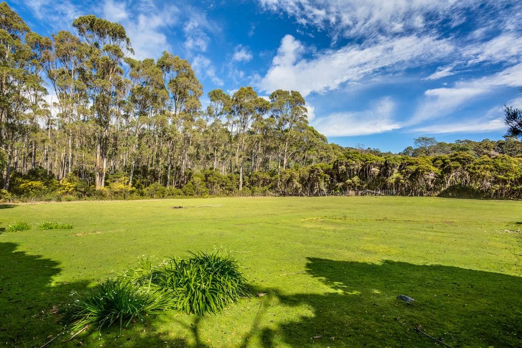 119 Priestleys Lane, BIRRALEE TAS 7303, Birralee - Thumbnail 3