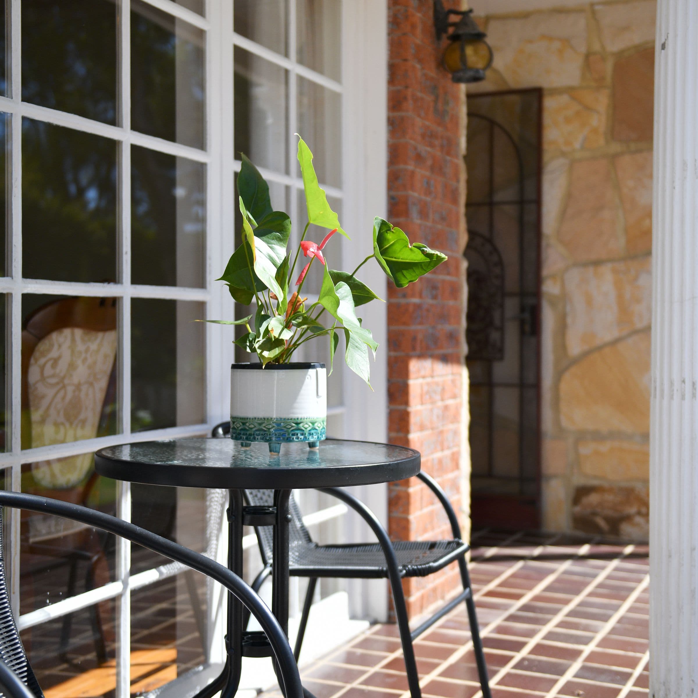 29 Adamson Avenue, Thornleigh NSW 2120, Thornleigh - Thumbnail 4