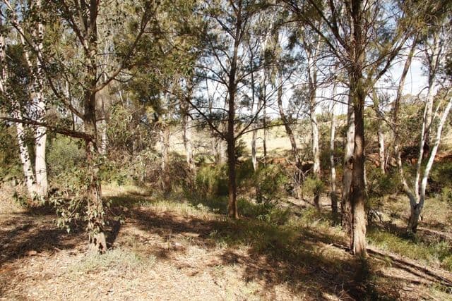 Lot 81  Holmes Road, KINGSTON ON MURRAY SA 5331, Kingston On Murray - Thumbnail 8