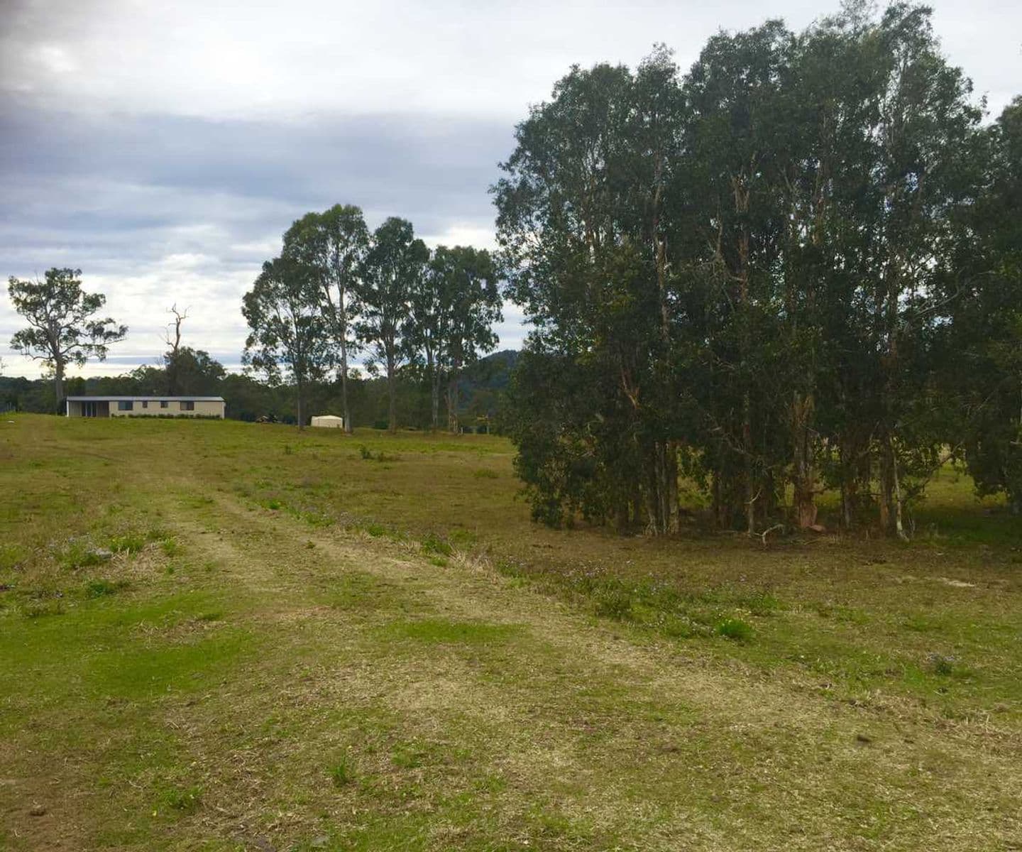12 Tareeda Court, Spring Grove - Thumbnail 5