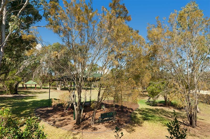 51-55 Daniells Street, Carina QLD 4152, Carina - Thumbnail 7