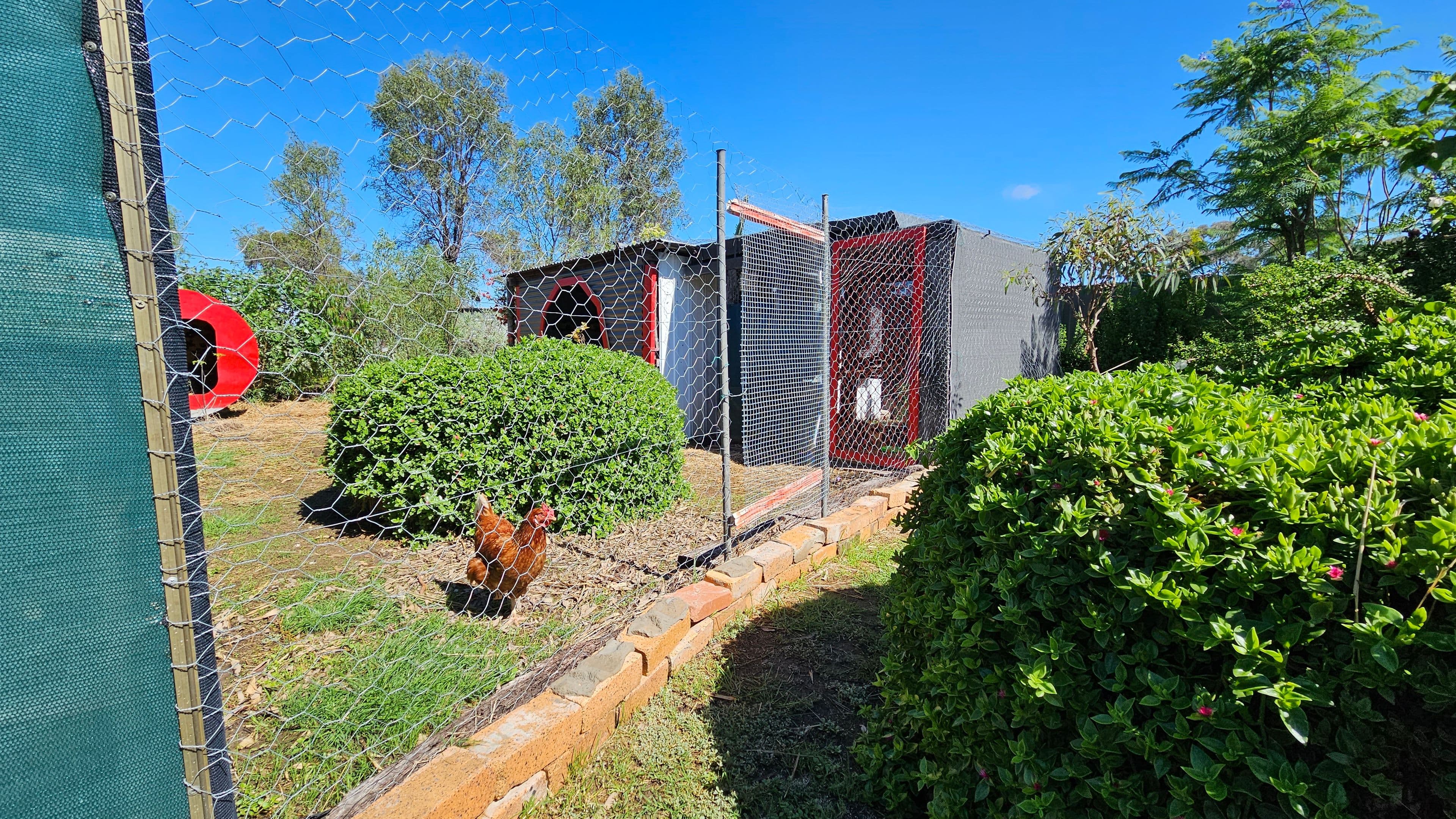 23 Gibson Street, Meandarra QLD 4422, Meandarra - Thumbnail 7