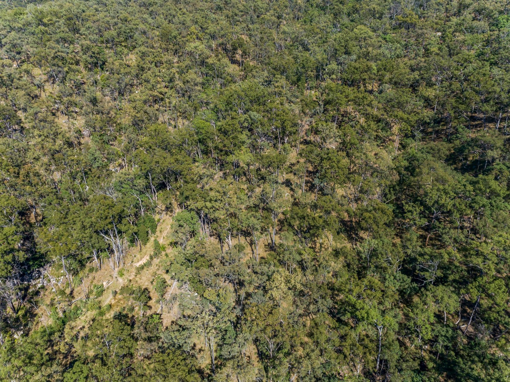 1 Gaeta Road, Gaeta QLD 4671, Gaeta - Thumbnail 8