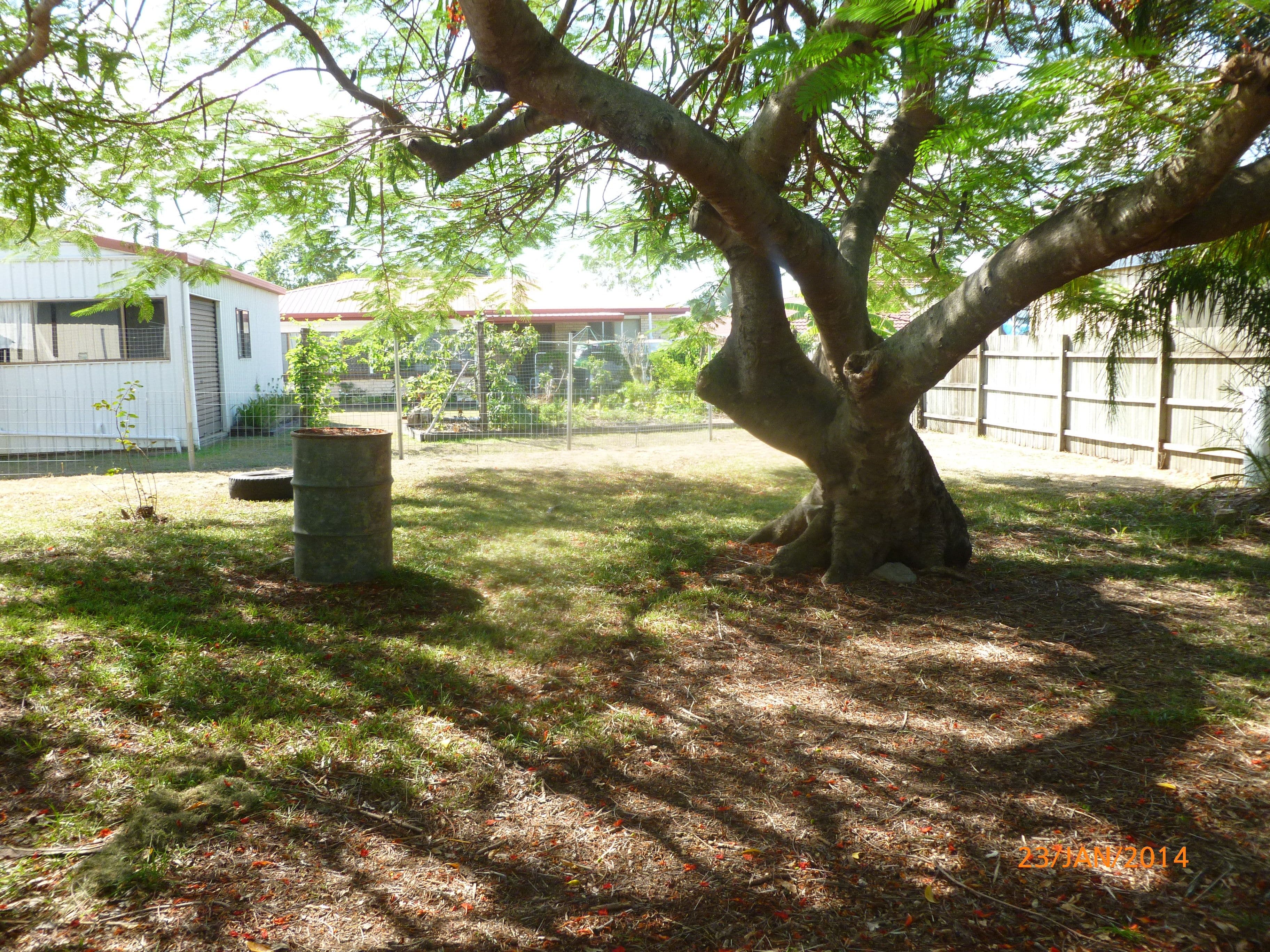 6 Alice Street, Pialba QLD 4655, Pialba - Thumbnail 4