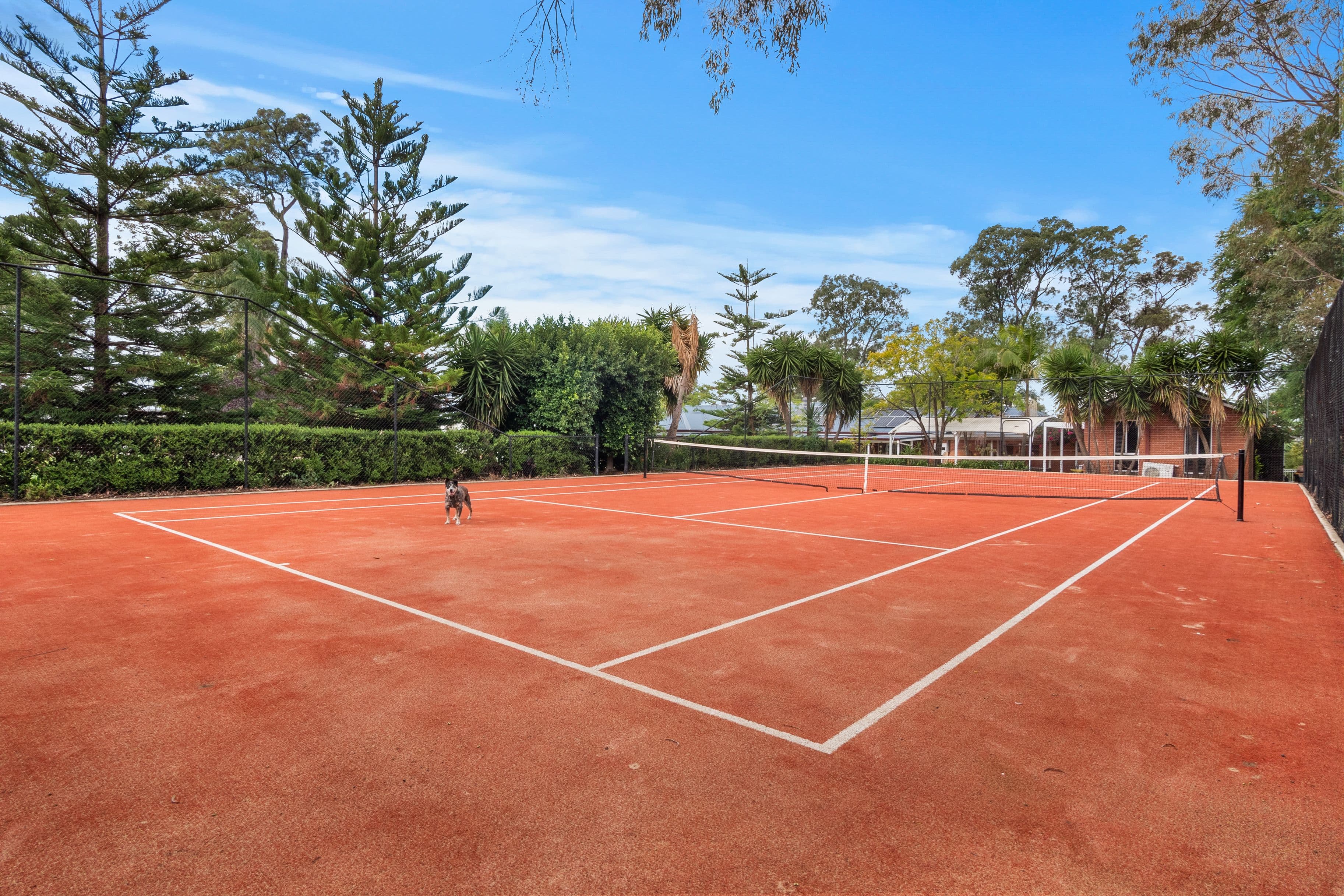 109 Kestrel Way, Yarramundi NSW 2753, Yarramundi - Thumbnail 3
