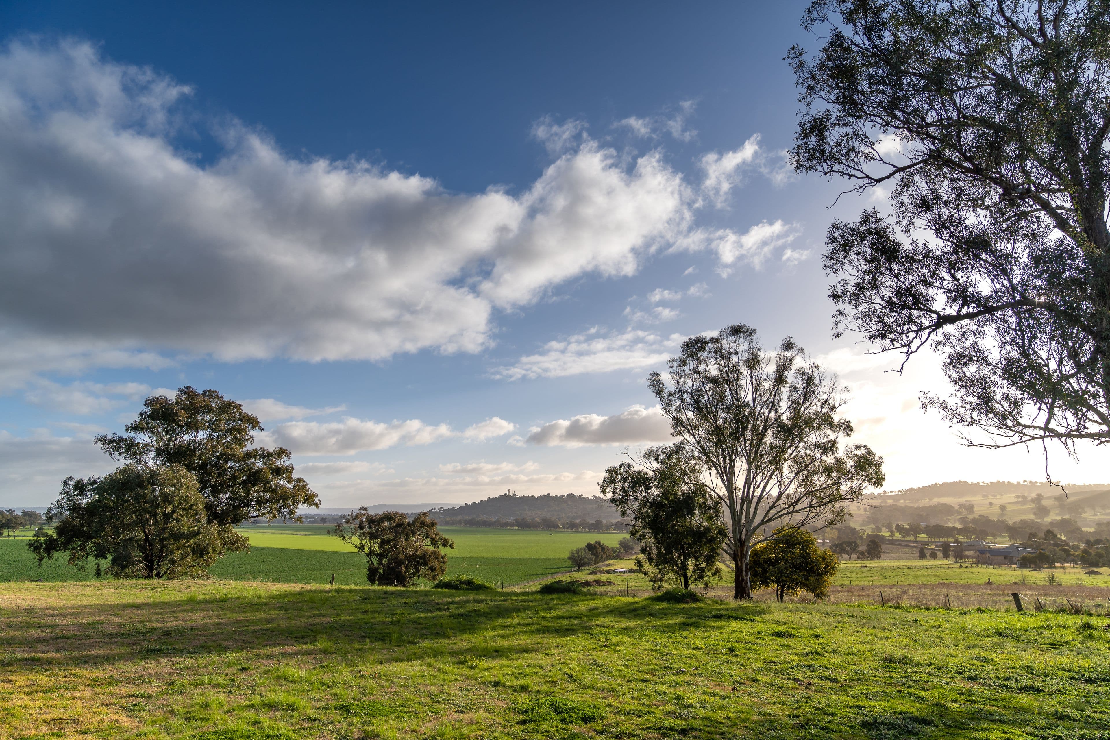 327 Camp Road, Cowra NSW 2794, Cowra - Thumbnail 2