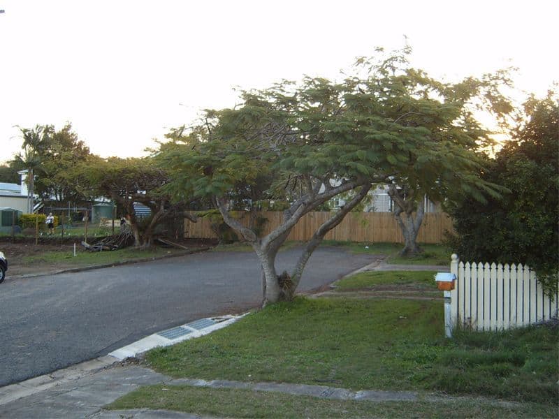 57  Soden Street, YEERONGPILLY QLD 4105, Yeerongpilly - Thumbnail 3