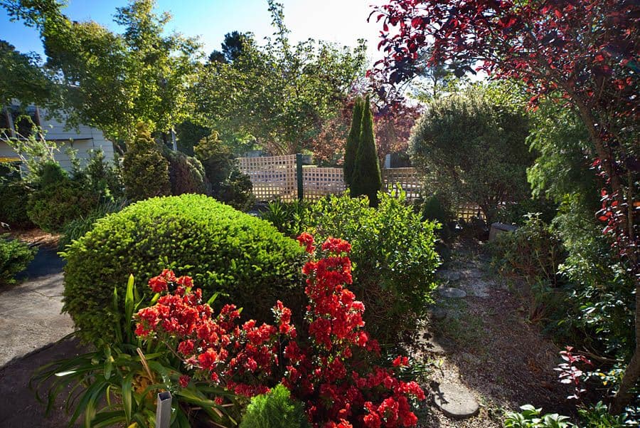 192 Great Western Highway, BLACKHEATH NSW 2785, Blackheath - Thumbnail 5