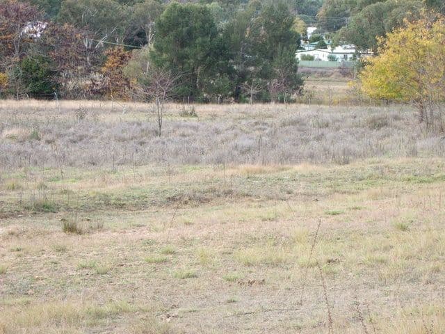 Lot8 Namoi Street, COONABARABRAN NSW 2357, Coonabarabran - Thumbnail 5