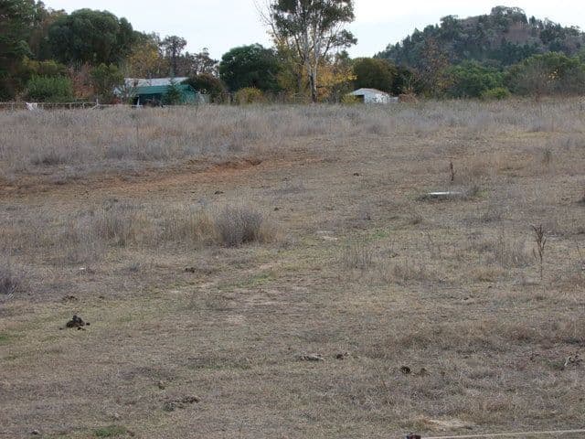 Lot8 Namoi Street, COONABARABRAN NSW 2357, Coonabarabran - Thumbnail 6
