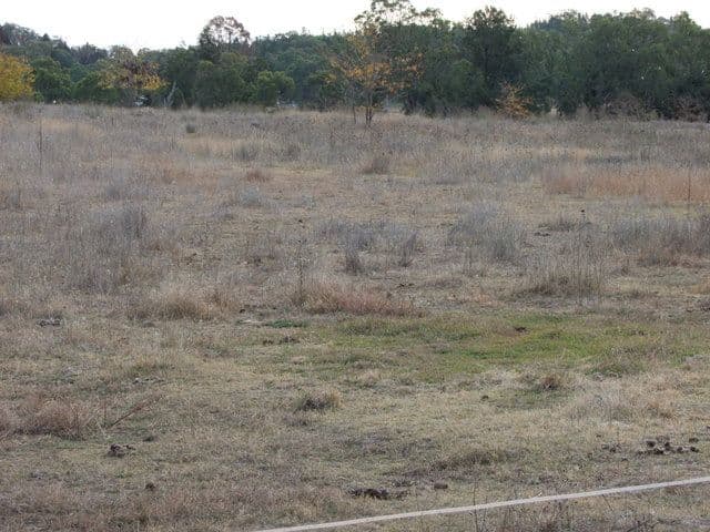 Lot8 Namoi Street, COONABARABRAN NSW 2357, Coonabarabran - Thumbnail 7