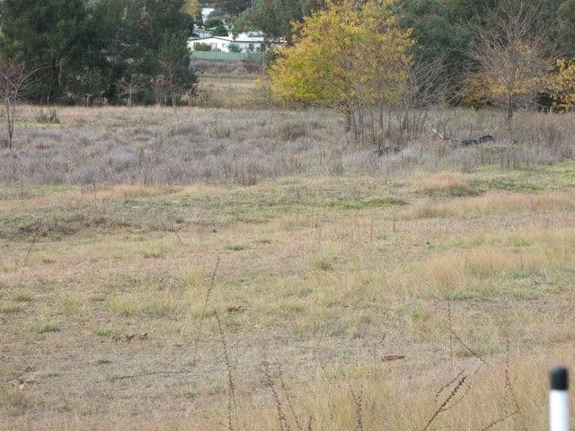 Lot8 Namoi Street, COONABARABRAN NSW 2357, Coonabarabran - Thumbnail 8