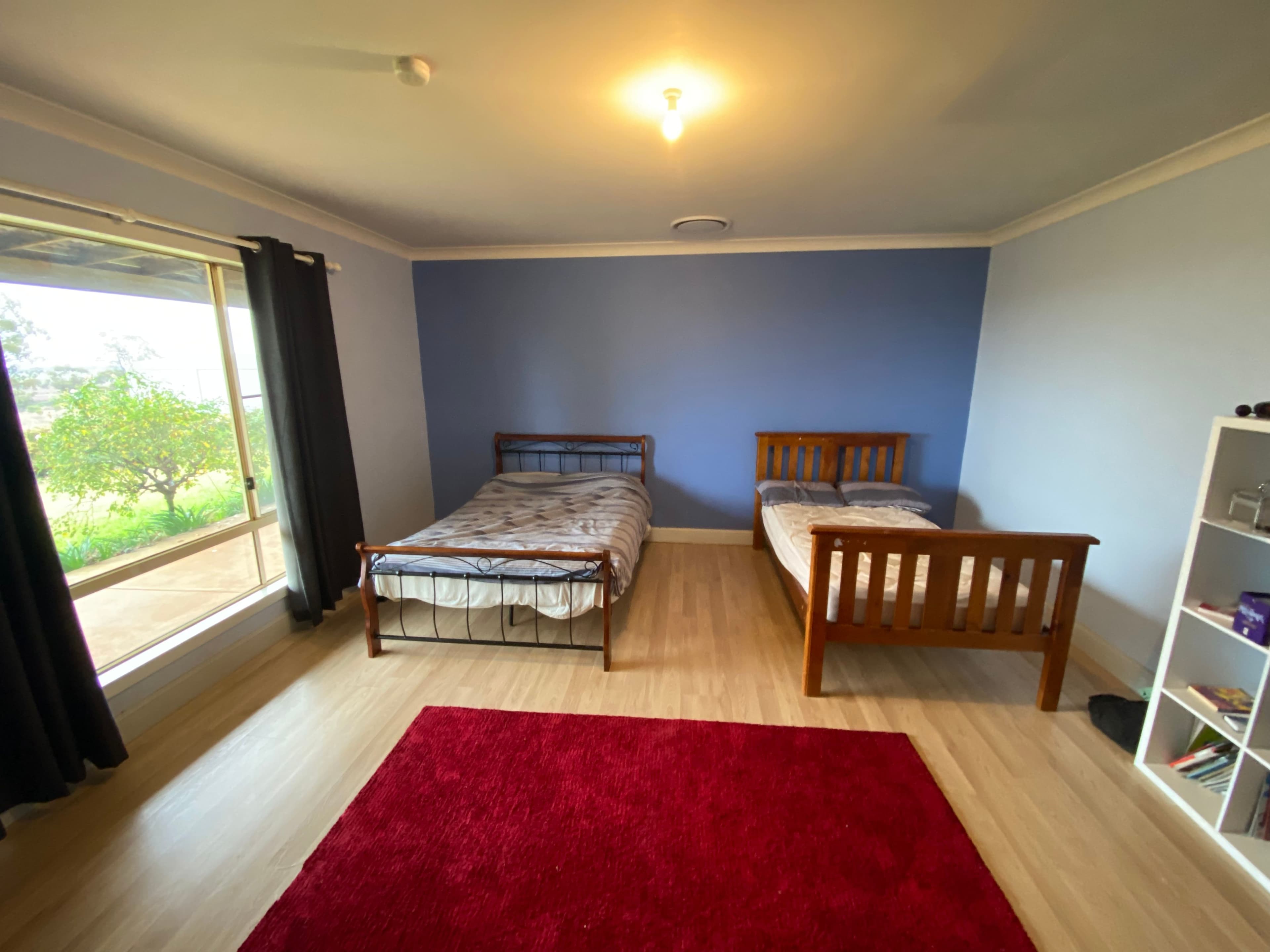 336 Kiacatoo Road, Condobolin NSW 2877, Condobolin - Thumbnail 8