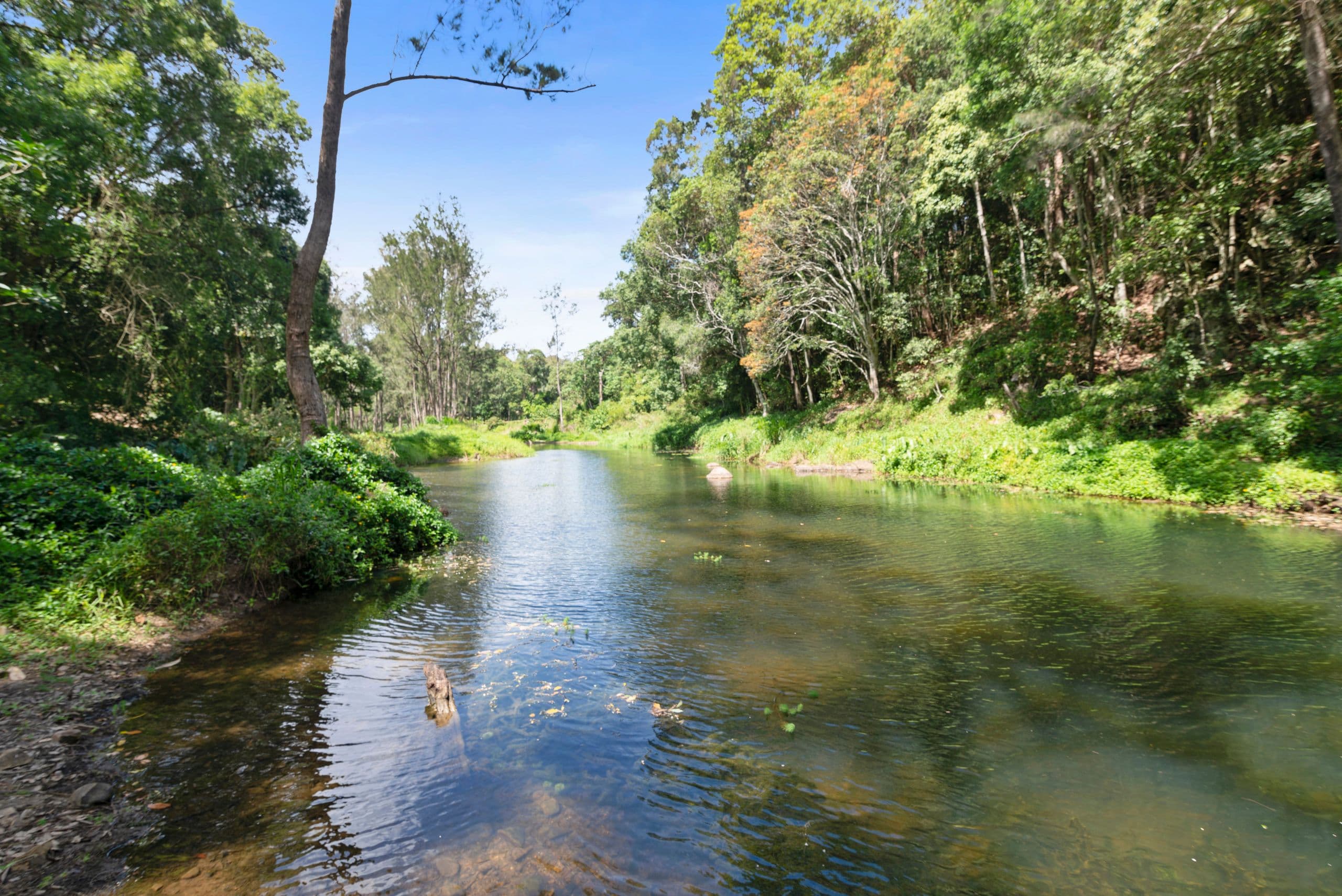 641 Tallebudgera Creek Road, Tallebudgera Valley QLD 4228, Tallebudgera Valley - Thumbnail 2