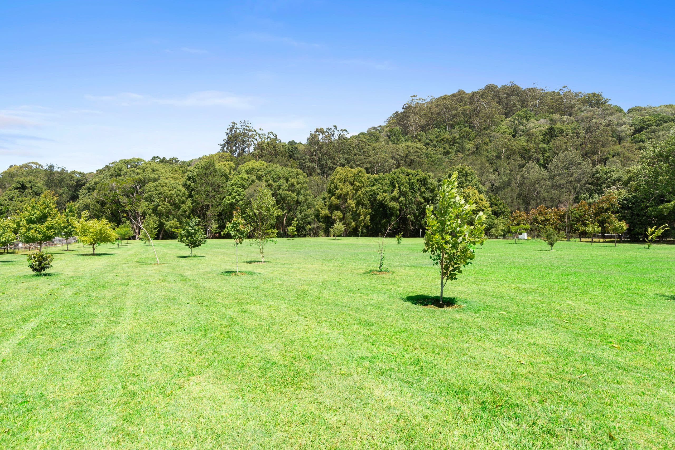 641 Tallebudgera Creek Road, Tallebudgera Valley QLD 4228, Tallebudgera Valley - Thumbnail 5