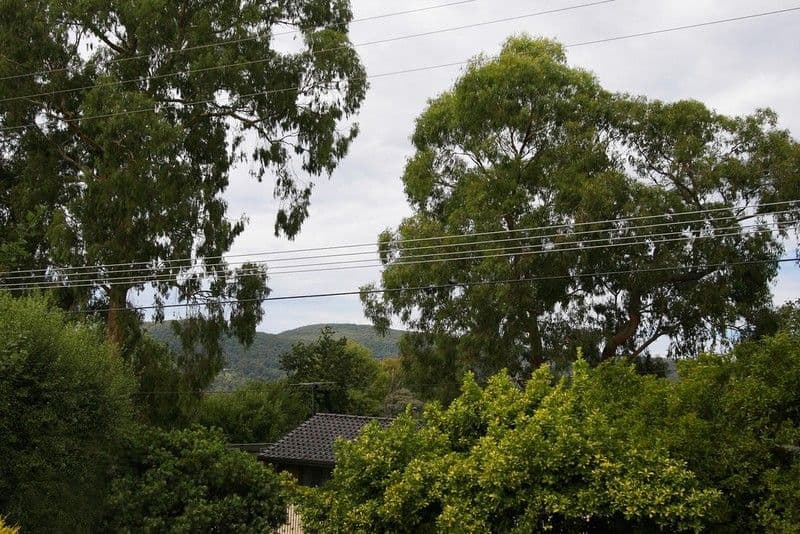 91 Burke Road, FERNTREE GULLY VIC 3156, Ferntree Gully - Thumbnail 7