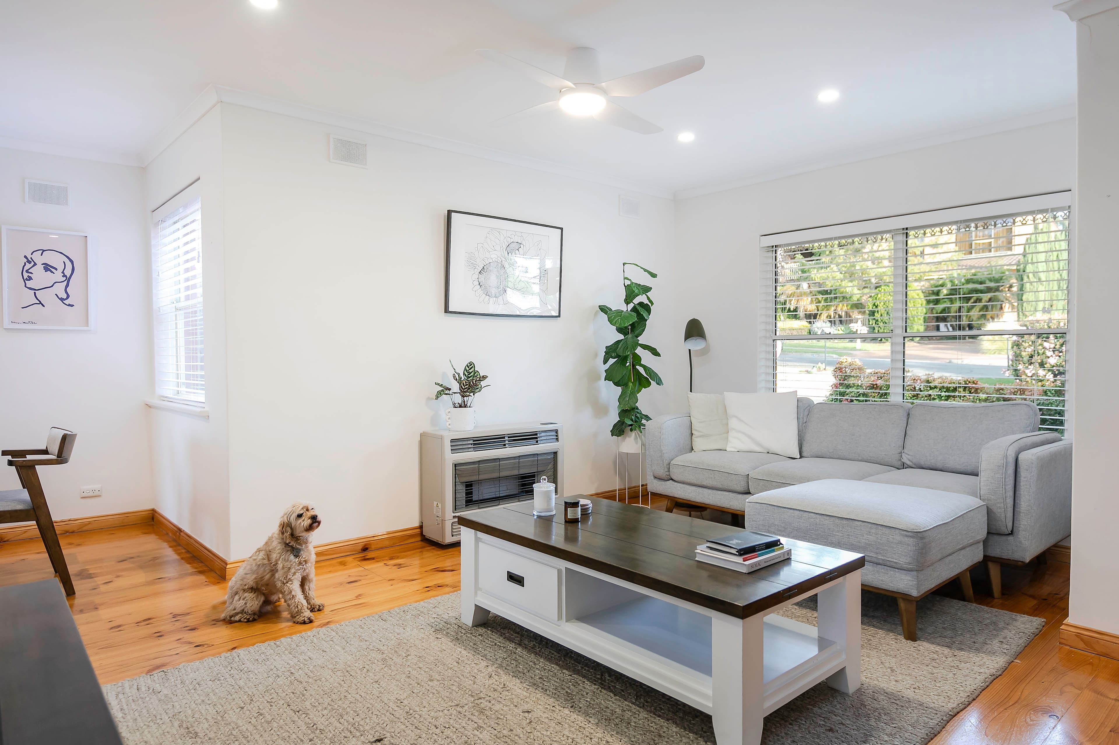 19B Cash Grove, Pasadena SA 5042, Pasadena - Thumbnail 3