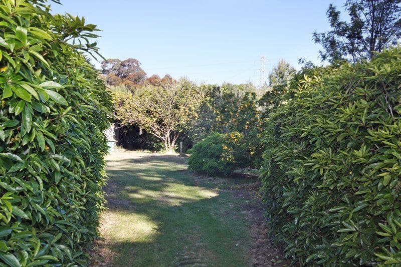 Lot 110 Sambell Road, ONE TREE HILL SA 5114, One Tree Hill - Thumbnail 4