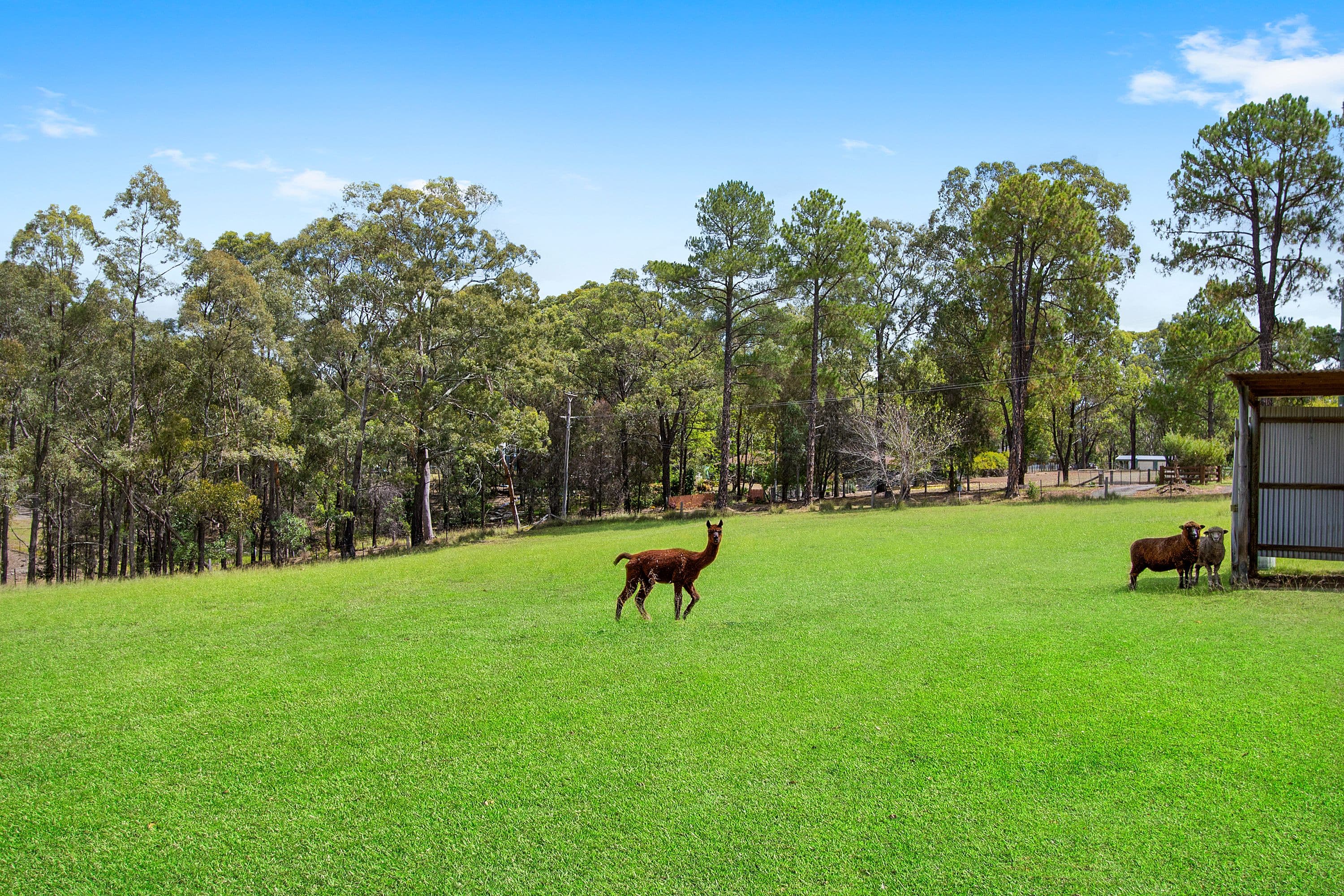 40 Kentoleen Road, Kurrajong NSW 2758, Kurrajong - Thumbnail 5