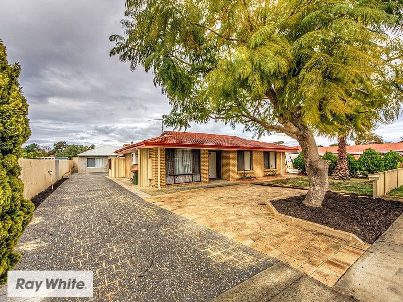36 Balga Avenue, Balga WA 6061, Balga - Image 1