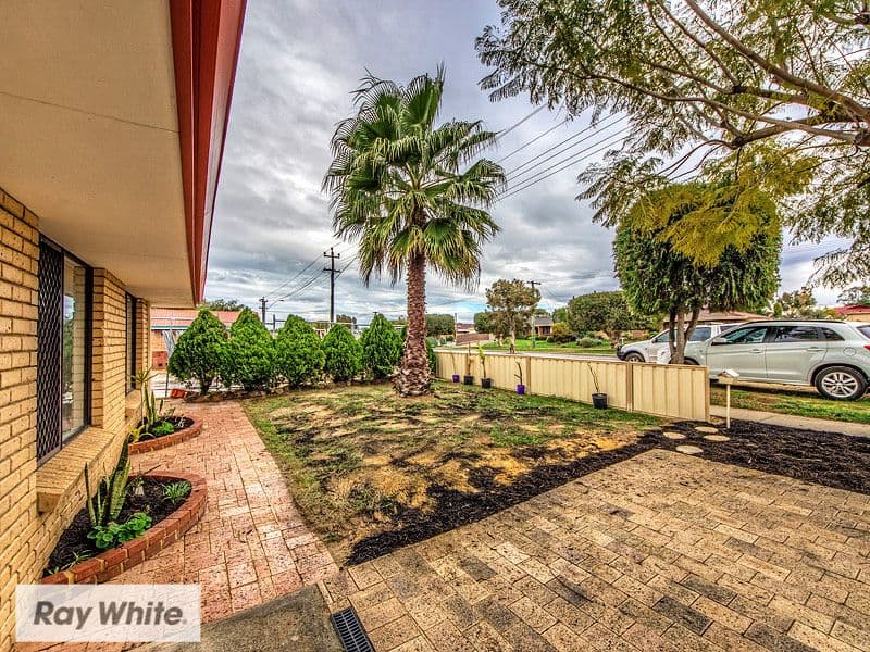 36 Balga Avenue, Balga WA 6061, Balga - Thumbnail 3