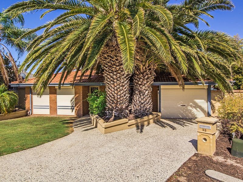 25 Halfmoon Place, Waikiki WA 6169, Waikiki - Thumbnail 2
