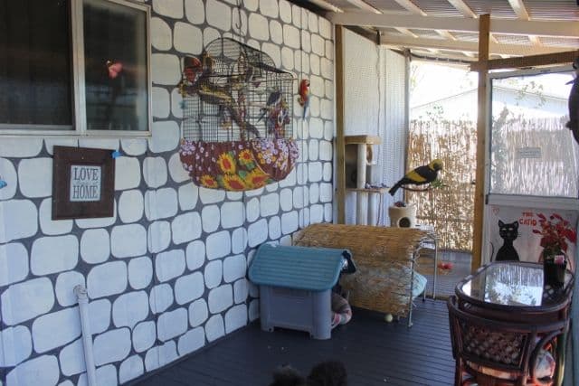 37 Acacia Road, Kambalda East WA 6442, Kambalda East - Thumbnail 8