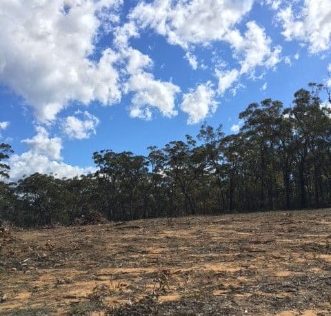 LOT 1 Raglan Street, Hill Top NSW 2575, Hill Top - Thumbnail 2