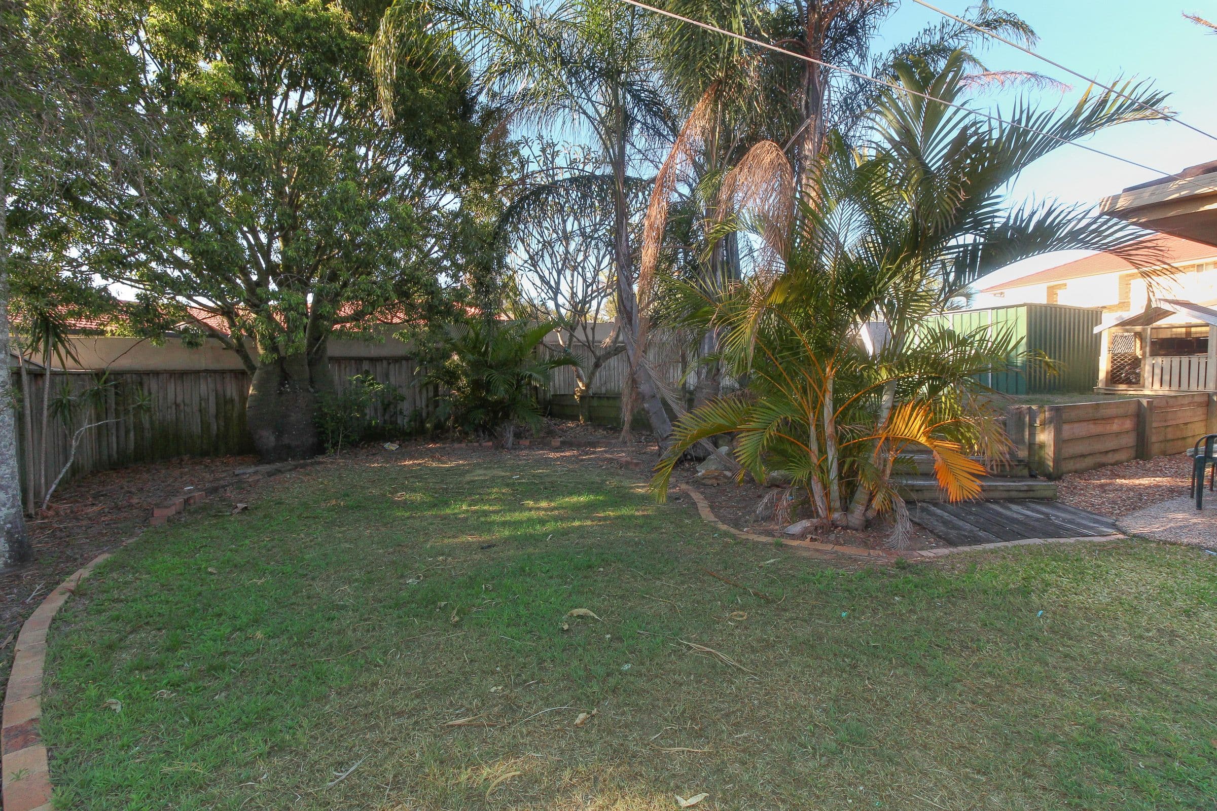 3 Cosmos Street, Springfield QLD 4300, Springfield - Thumbnail 6