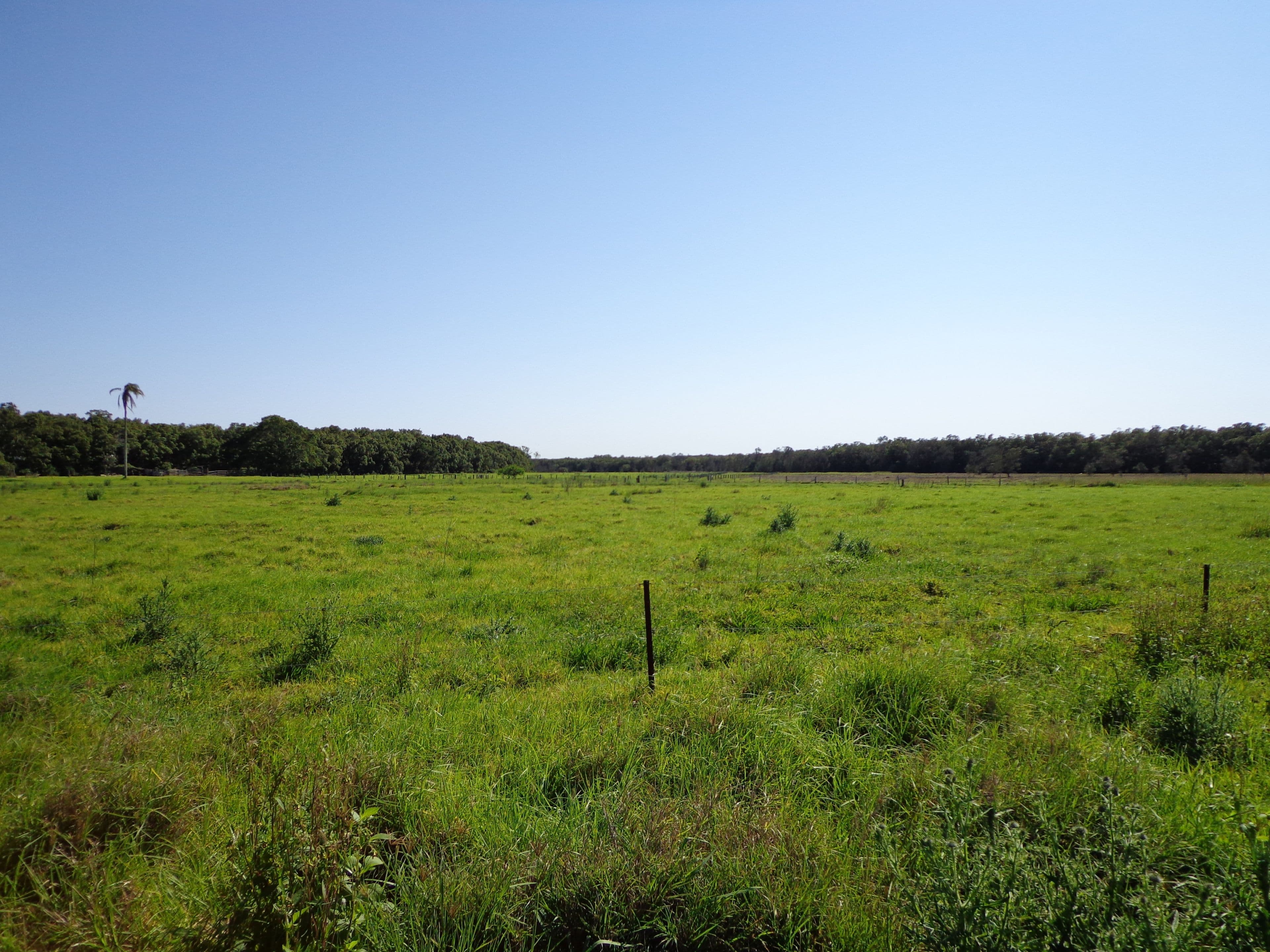 Lot 130 Boomerang Island, Carbrook QLD 4130, Carbrook - Thumbnail 4