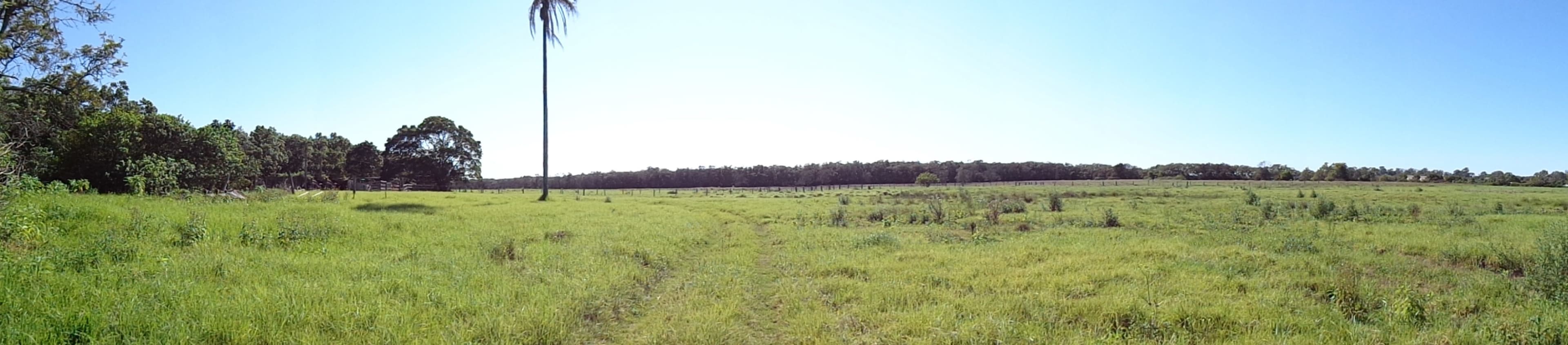 Lot 130 Boomerang Island, Carbrook QLD 4130, Carbrook - Thumbnail 6