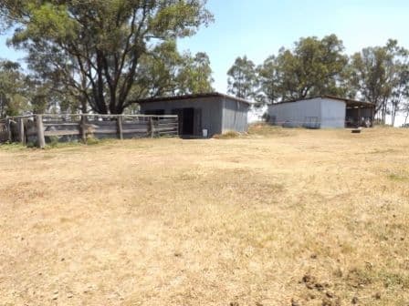 352 Bridgman Road, SINGLETON NSW 2330, Singleton - Thumbnail 3