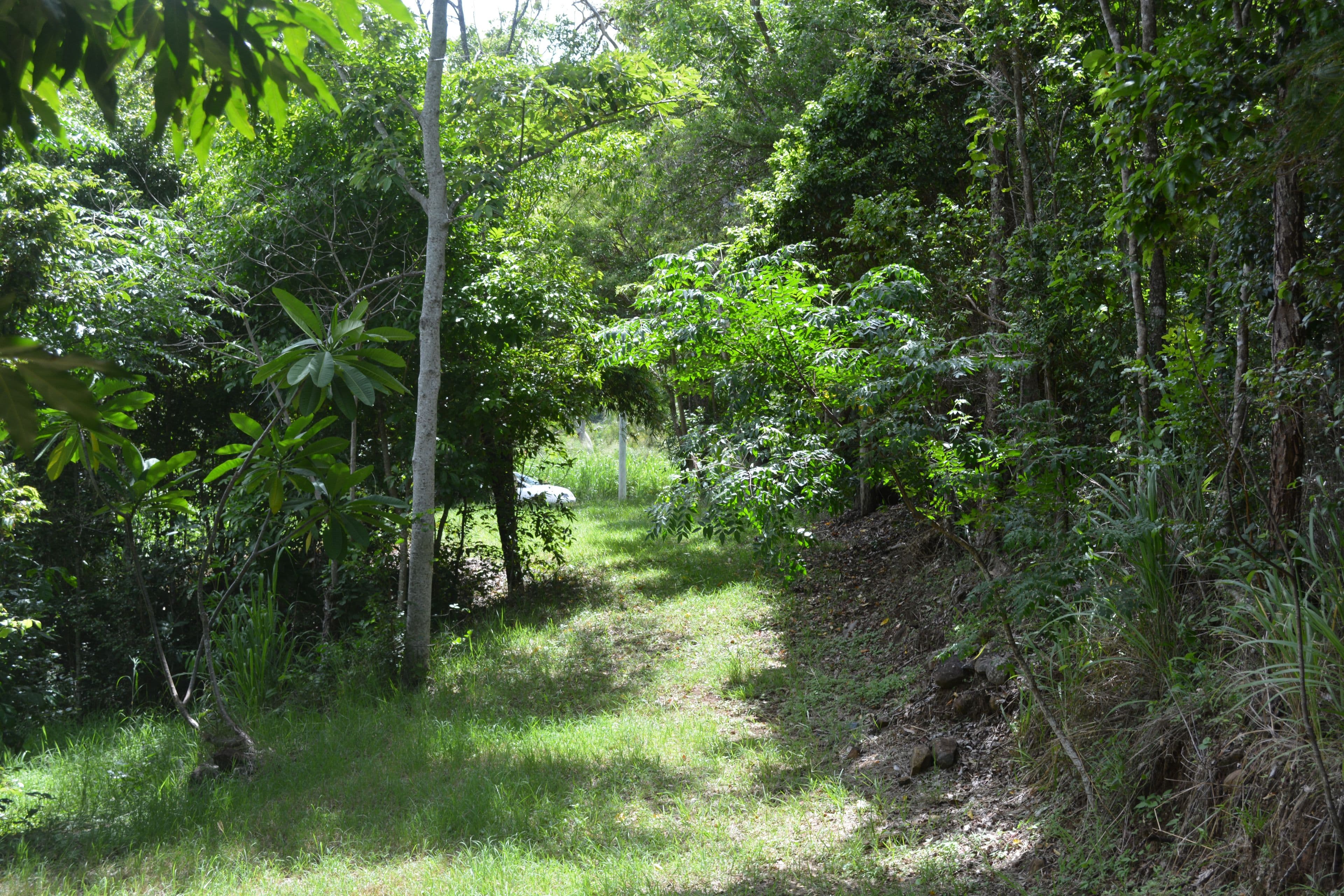 46 Parkland Drive, Woodwark QLD 4802, Woodwark - Thumbnail 3