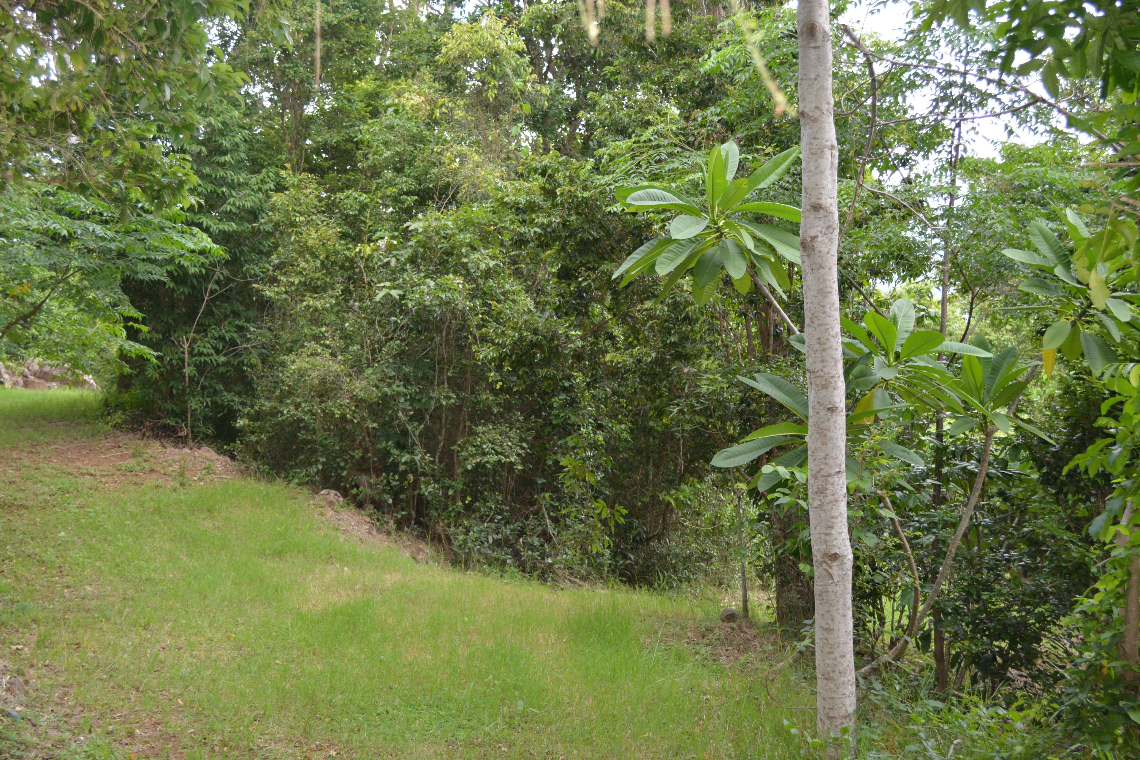 46 Parkland Drive, Woodwark QLD 4802, Woodwark - Thumbnail 4