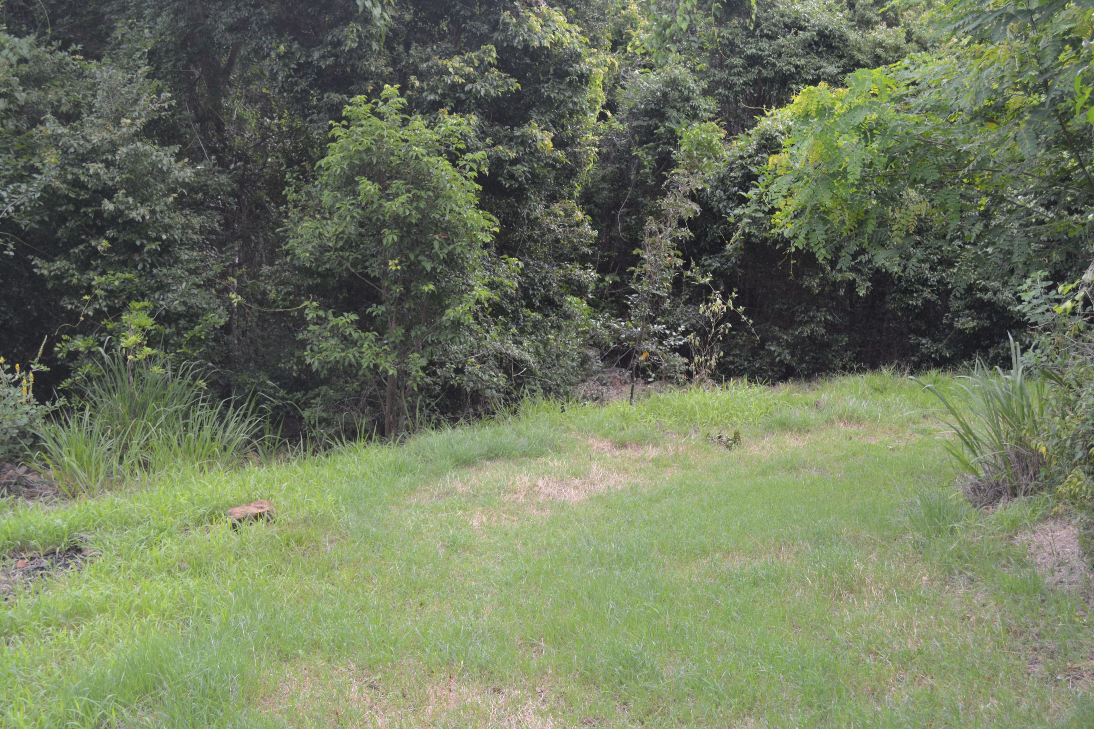 46 Parkland Drive, Woodwark QLD 4802, Woodwark - Thumbnail 7