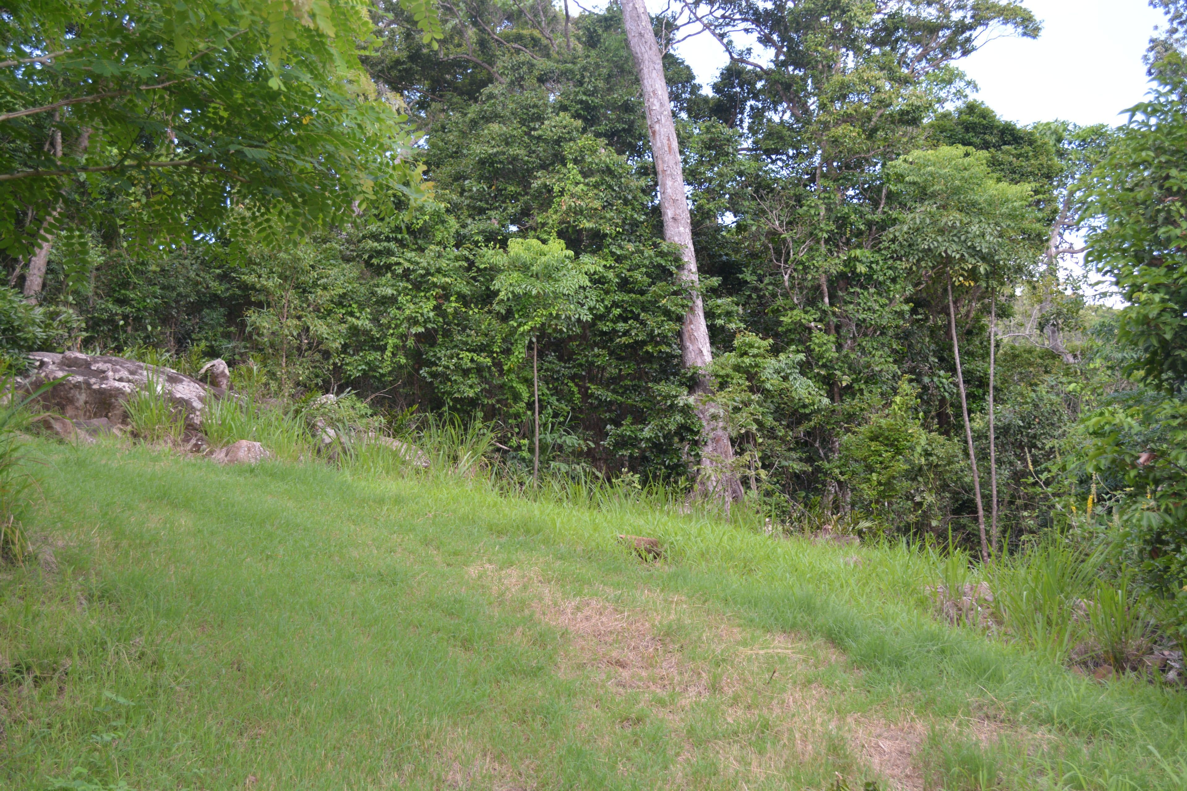 46 Parkland Drive, Woodwark QLD 4802, Woodwark - Thumbnail 8