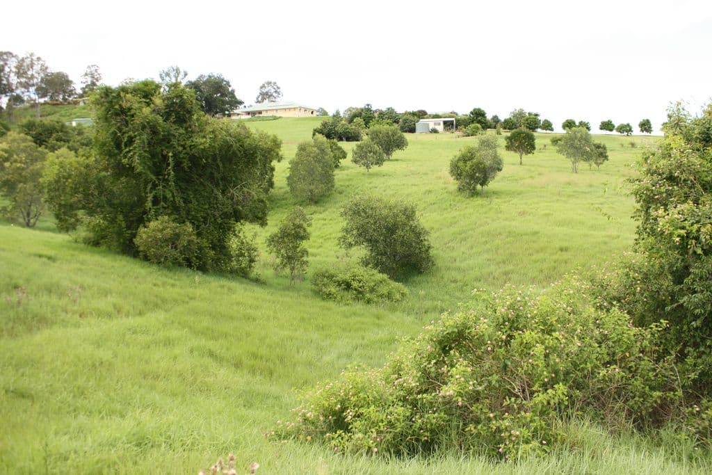 VERESDALE QLD 4285, Veresdale - Thumbnail 2