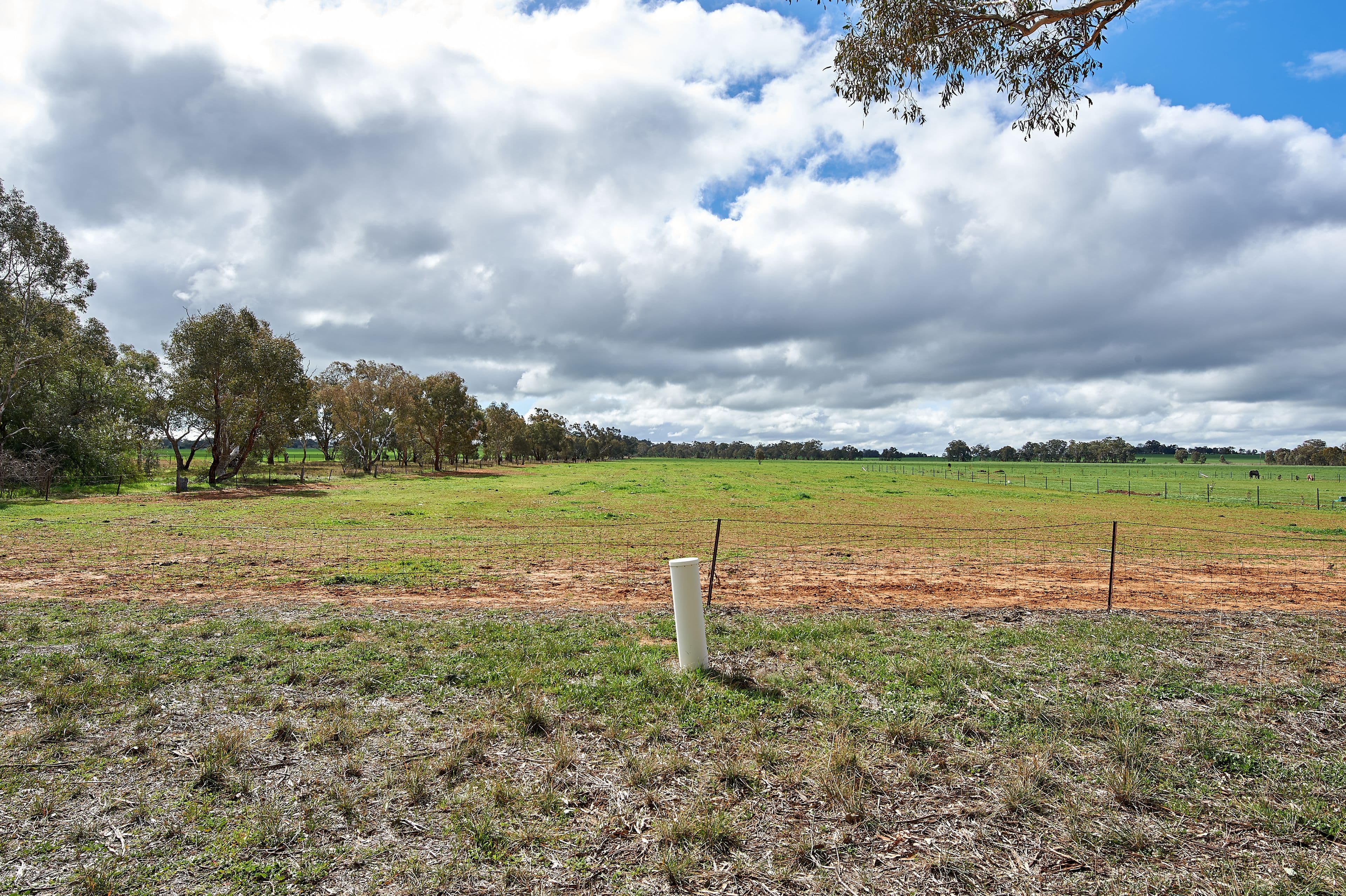 68 Broad Street, Old Junee NSW 2652, Old Junee - Thumbnail 3